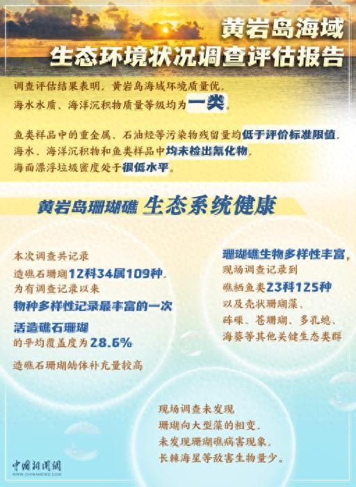 圖覽真相丨重磅報告發布 究竟是誰在破壞南海生態